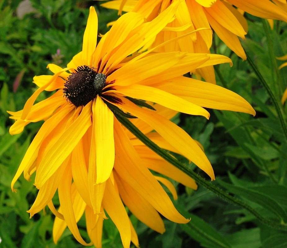 ... ����� Natali  ��������� �� PhotoGeek.ru #������ ��� ������� #����� �������������� #���������