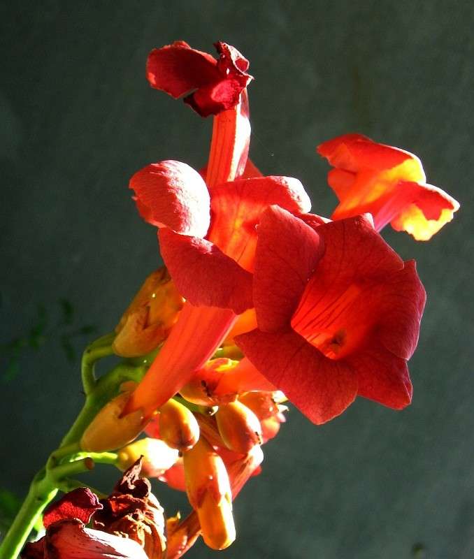 ... ����� Natali  ��������� �� PhotoGeek.ru #������ ��� ������� #����� ��������������