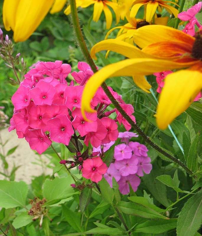 ��� �������� �������...) ����� Natali  ��������� �� PhotoGeek.ru #����� ��������������