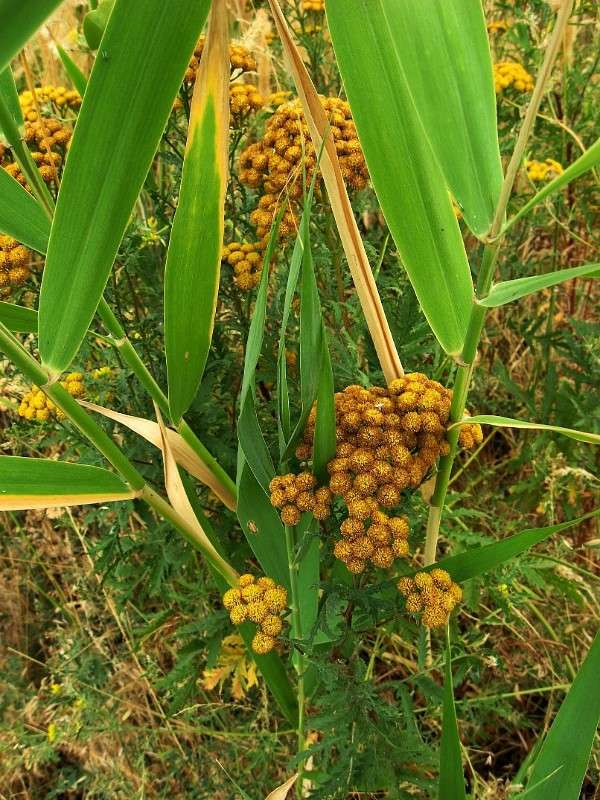 ... ����� Natali  ��������� �� PhotoGeek.ru #������ ��� ������� #����� ��������������