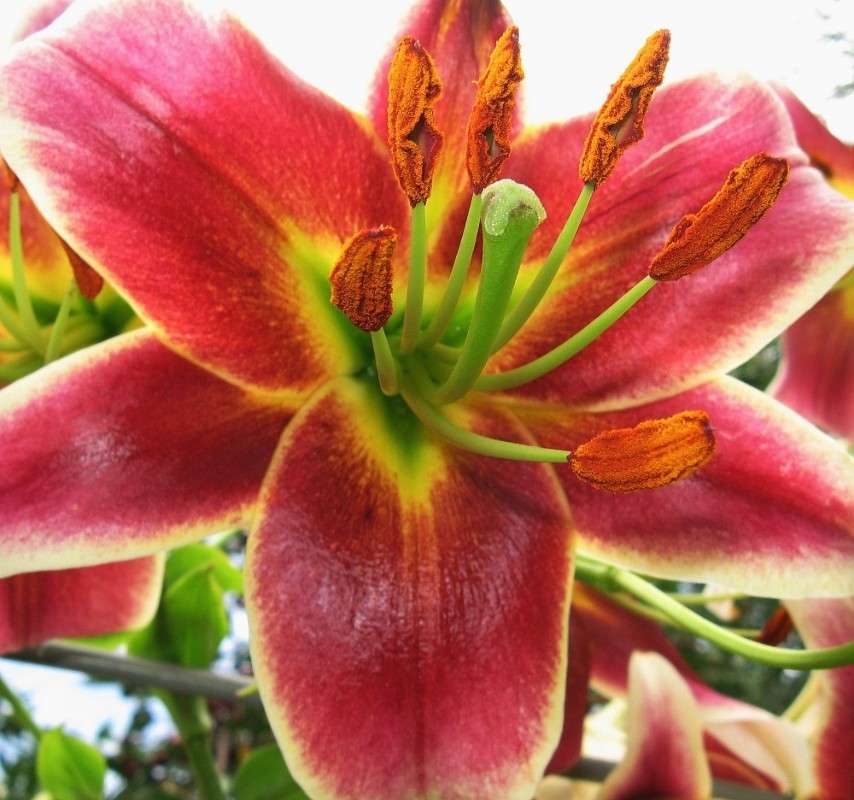 ���������-�������....))) ����� Natali  ��������� �� PhotoGeek.ru #����� ��������������