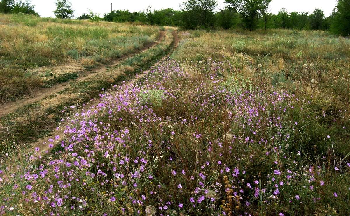 ����� ������ ����� Natali  ��������� �� PhotoGeek.ru #������ ��� �������