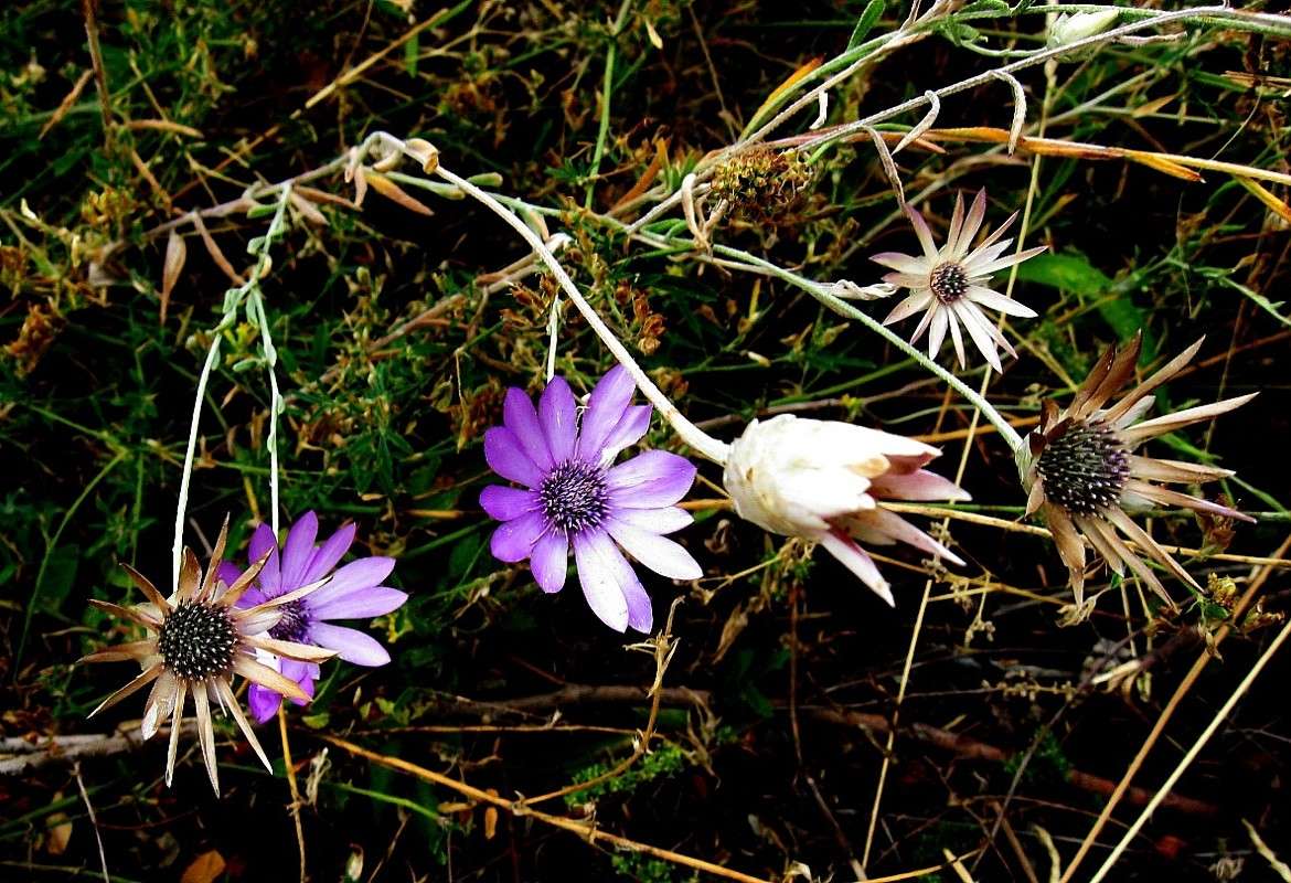 � ������... ����� Natali  ��������� �� PhotoGeek.ru #������ ��� ������� #����� ��������������