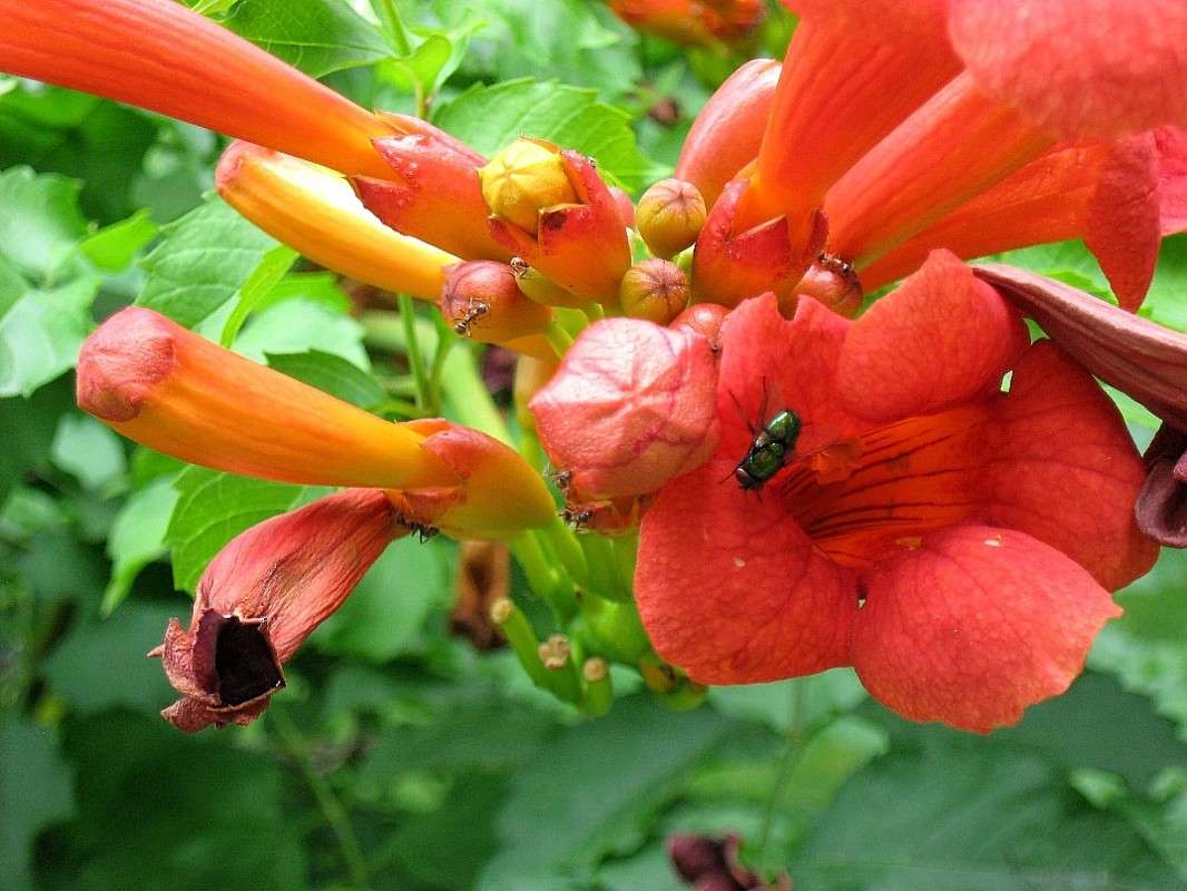 ... ����� Natali  ��������� �� PhotoGeek.ru #������ ��� ������� #����� �������������� #���������