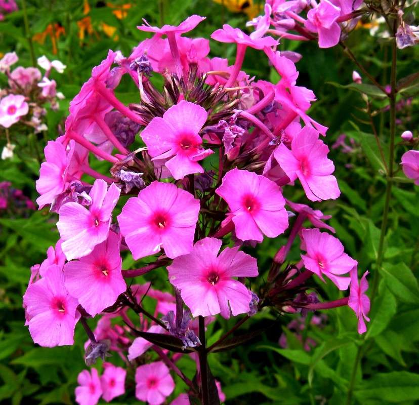 ... ����� Natali  ��������� �� PhotoGeek.ru #����� ��������������