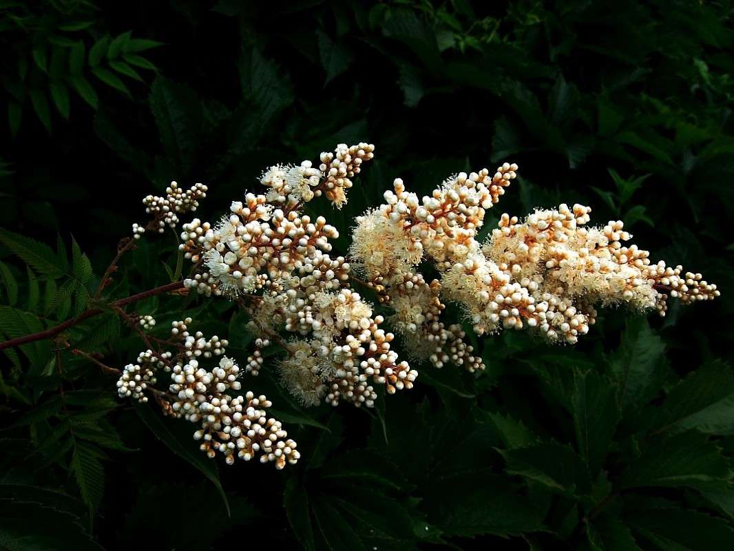 ... ����� Natali  ��������� �� PhotoGeek.ru #������ ��� ������� #����� ��������������