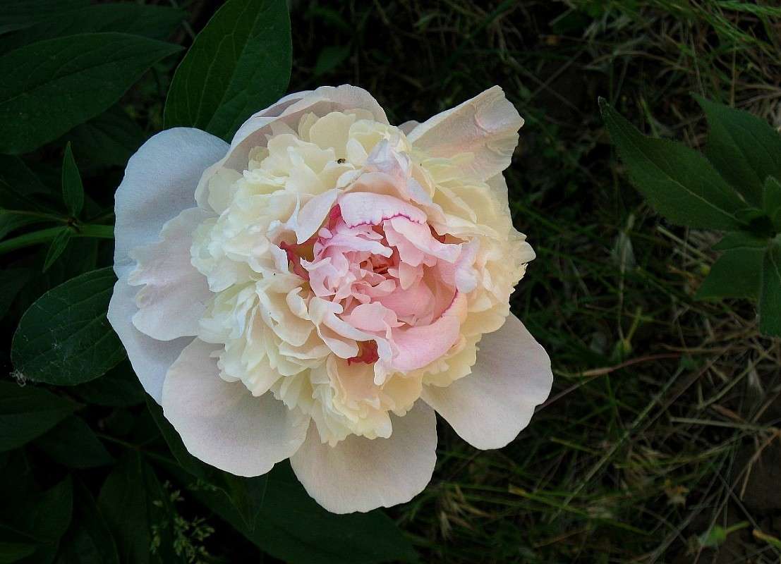 ... ����� Natali  ��������� �� PhotoGeek.ru #������ ��� ������� #����� ��������������