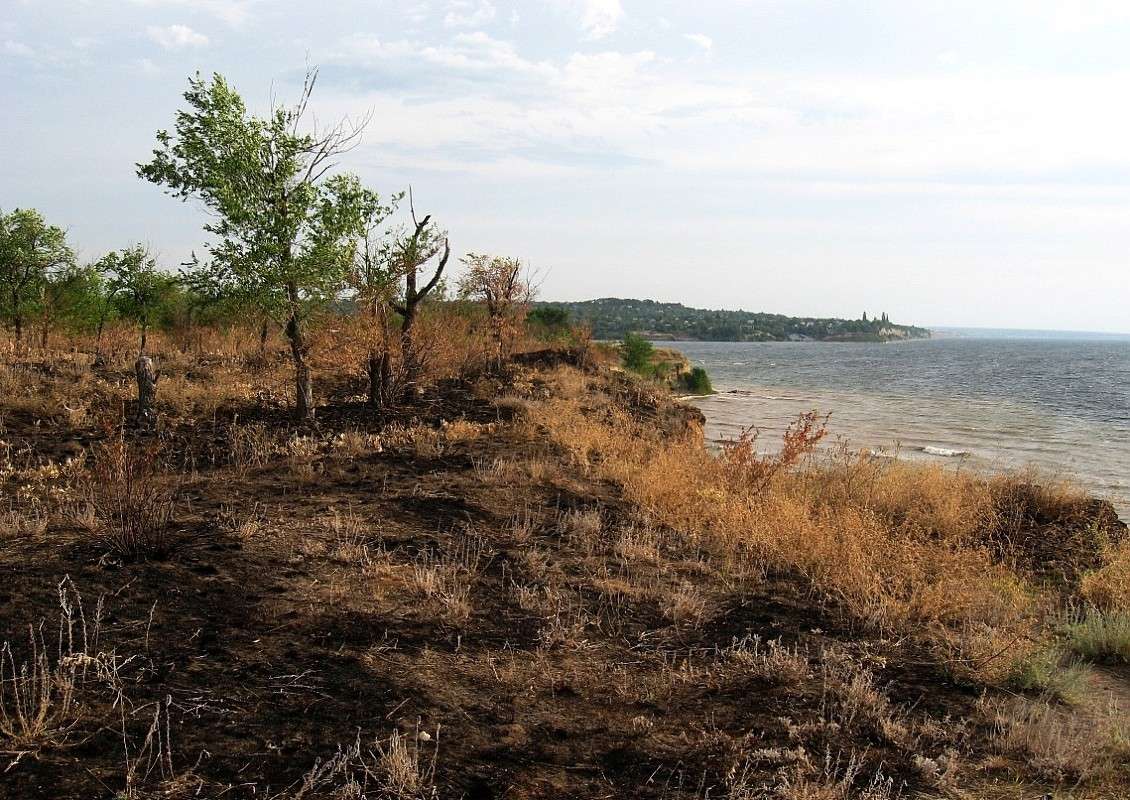 ����� ��������� ����� Natali  ��������� �� PhotoGeek.ru #������ ��� ������� #����� ��������������