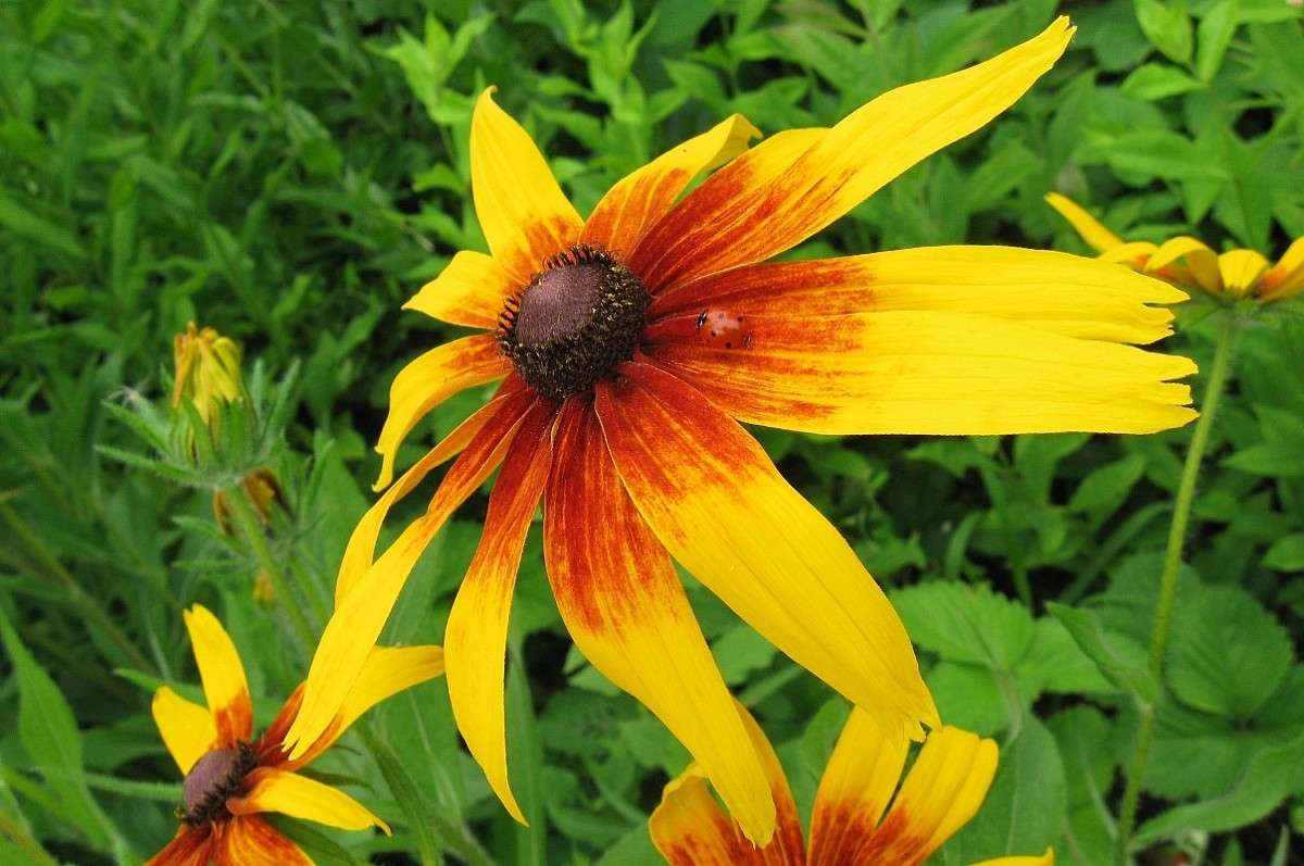 ... ����� Natali  ��������� �� PhotoGeek.ru #������ ��� ������� #����� �������������� #���������