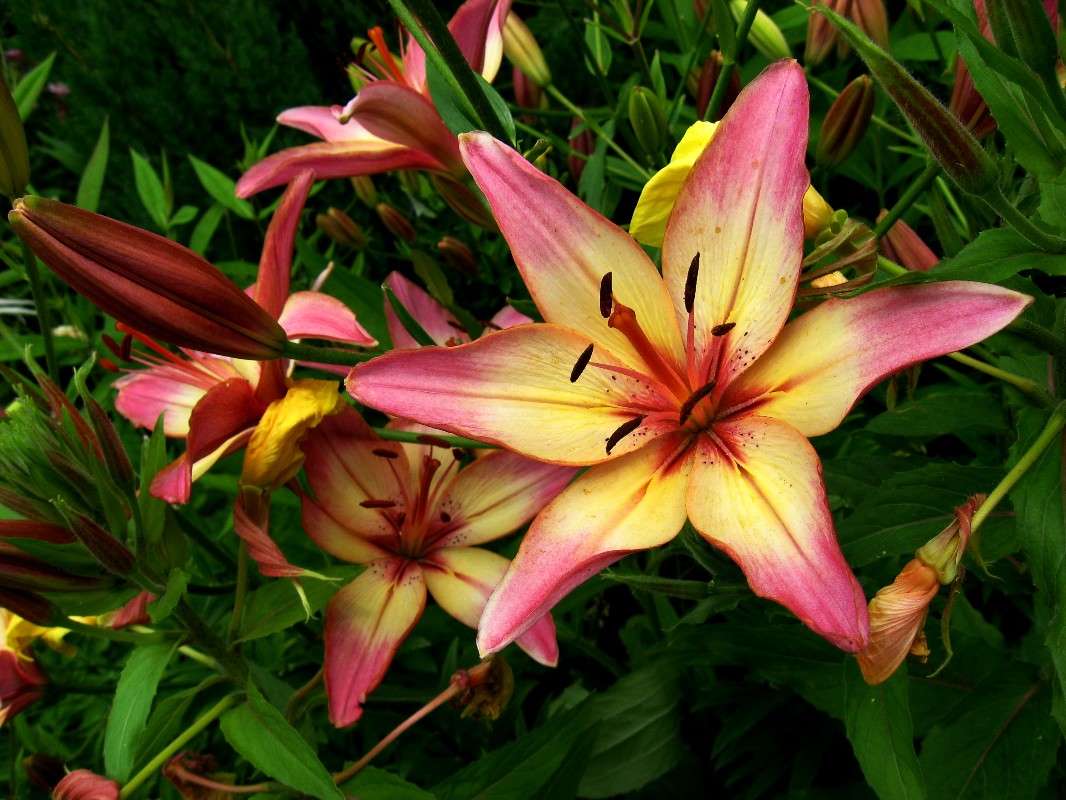 ... ����� Natali  ��������� �� PhotoGeek.ru #������ ��� ������� #����� ��������������