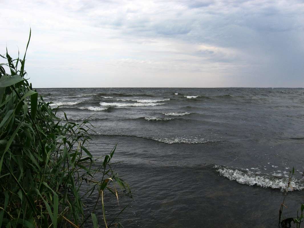 ���� � �����... ����� Natali  ��������� �� PhotoGeek.ru #������ ��� ������� #����� ��������������