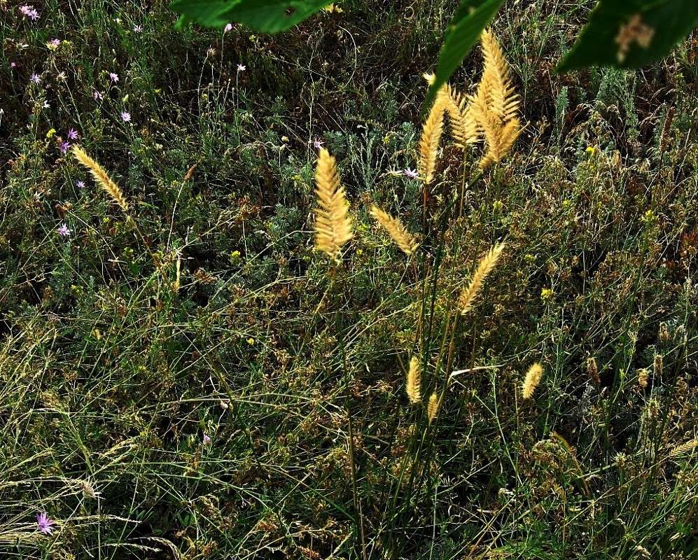 ... ����� Natali  ��������� �� PhotoGeek.ru #������ ��� ������� #����� ��������������