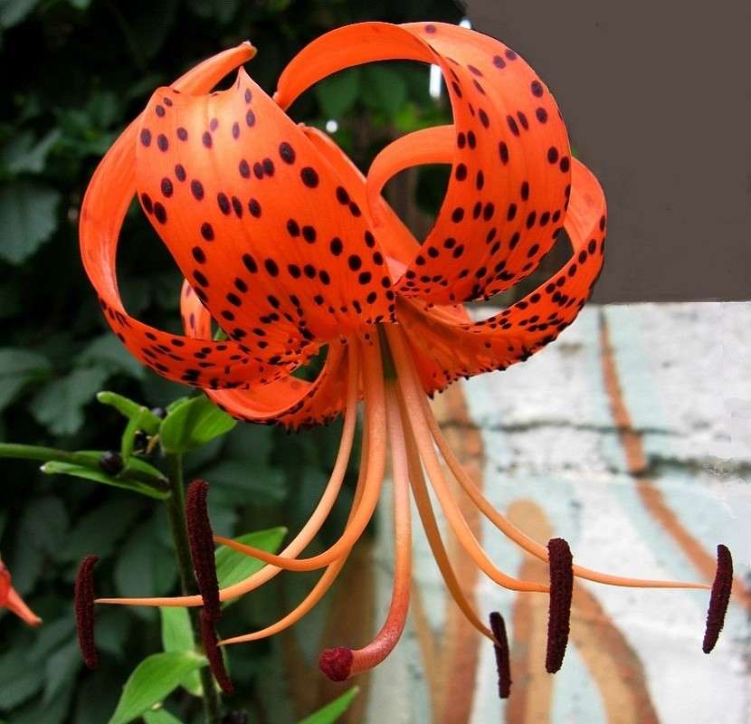 � �������� ) ����� Natali  ��������� �� PhotoGeek.ru #������ ��� ������� #����� ��������������