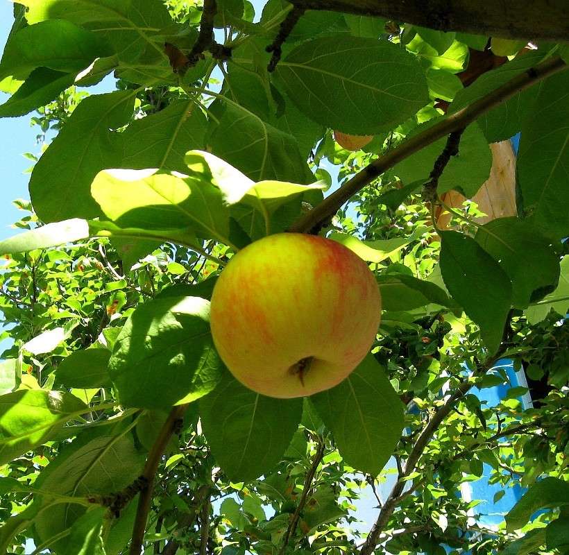 �������� ) ����� Natali  ��������� �� PhotoGeek.ru #������ ��� ������� #����� ��������������