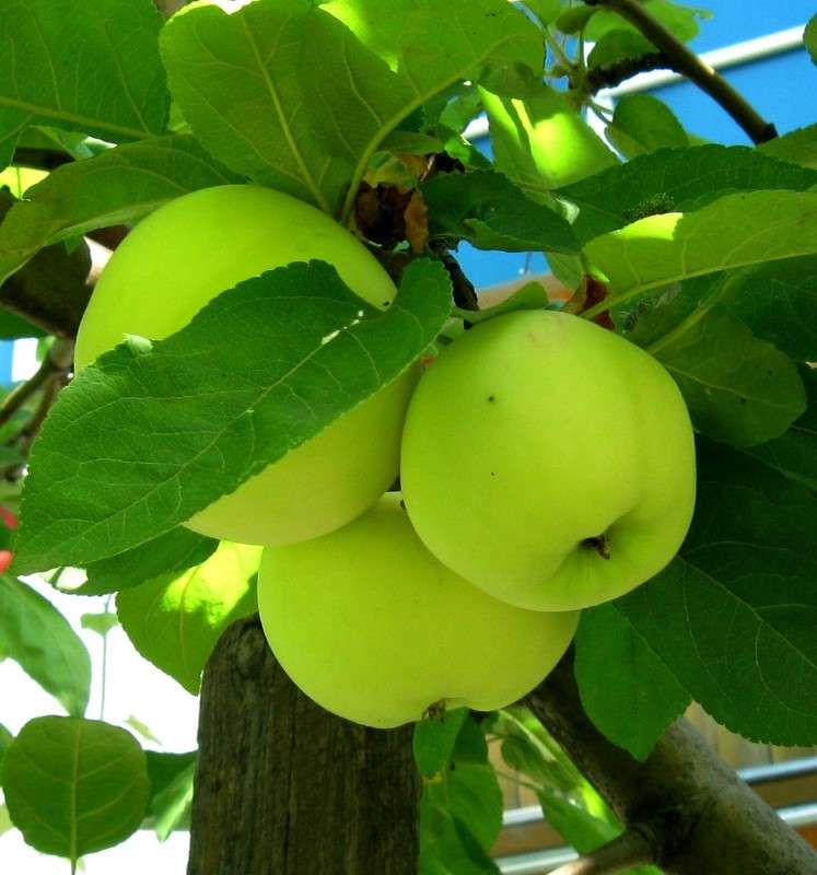 ... ����� Natali  ��������� �� PhotoGeek.ru #������ ��� ������� #����� ��������������