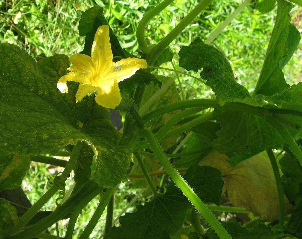 ��� ������. ������. ����� Natali  ��������� �� PhotoGeek.ru #������ ��� ������� #����� ��������������