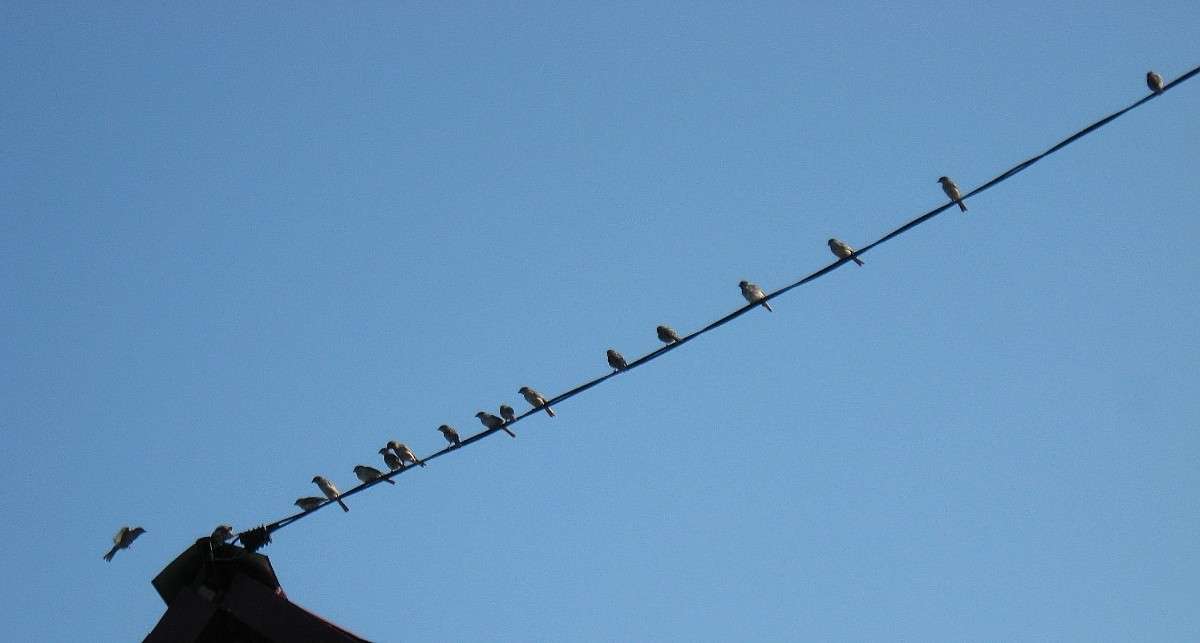 ����������� �� ������...) ����� Natali  ��������� �� PhotoGeek.ru #�������� ���