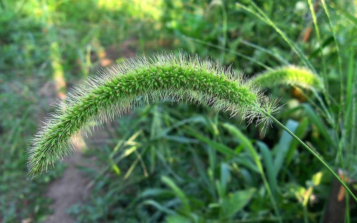 � �������� 2 ����� Natali  ��������� �� PhotoGeek.ru #������ ��� ������� #����� ��������������