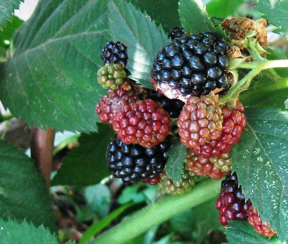 ... ����� Natali  ��������� �� PhotoGeek.ru #������ ��� ������� #����� ��������������