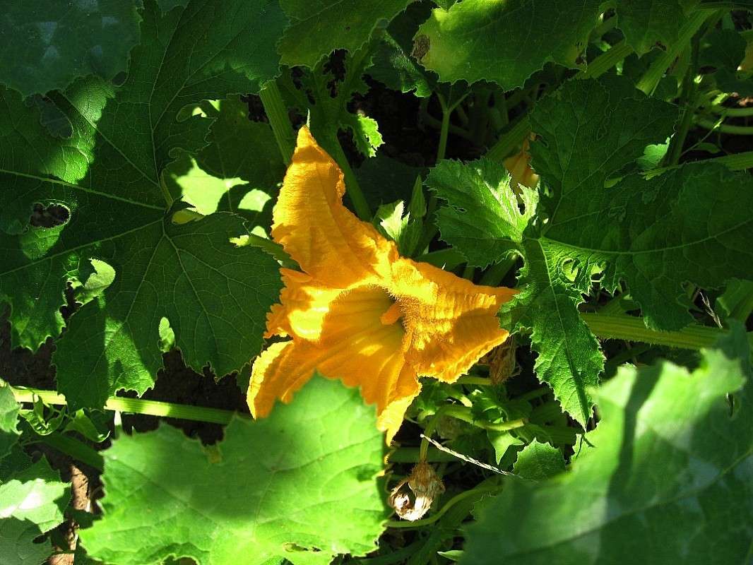 ������� ����� Natali  ��������� �� PhotoGeek.ru #������ ��� ������� #����� ��������������