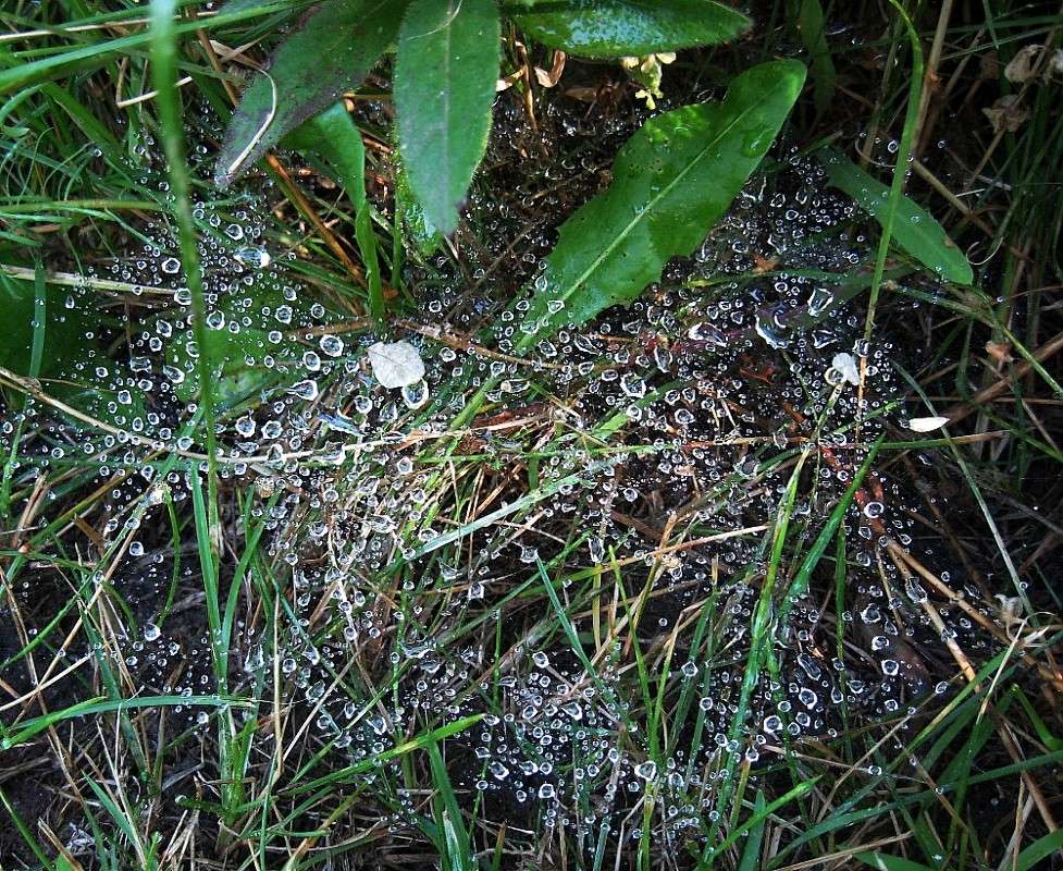 �� �������� ����� Natali  ��������� �� PhotoGeek.ru #������ ��� ������� #����� �������������� #������� #����