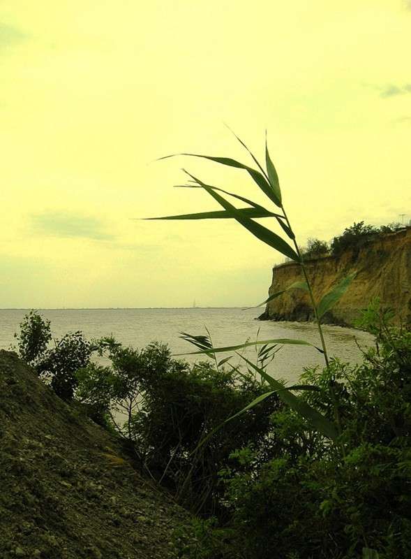 ��������-�������� ����������...) ����� Natali  ��������� �� PhotoGeek.ru #������ ��� ������� #����� �������������� #����� ��������