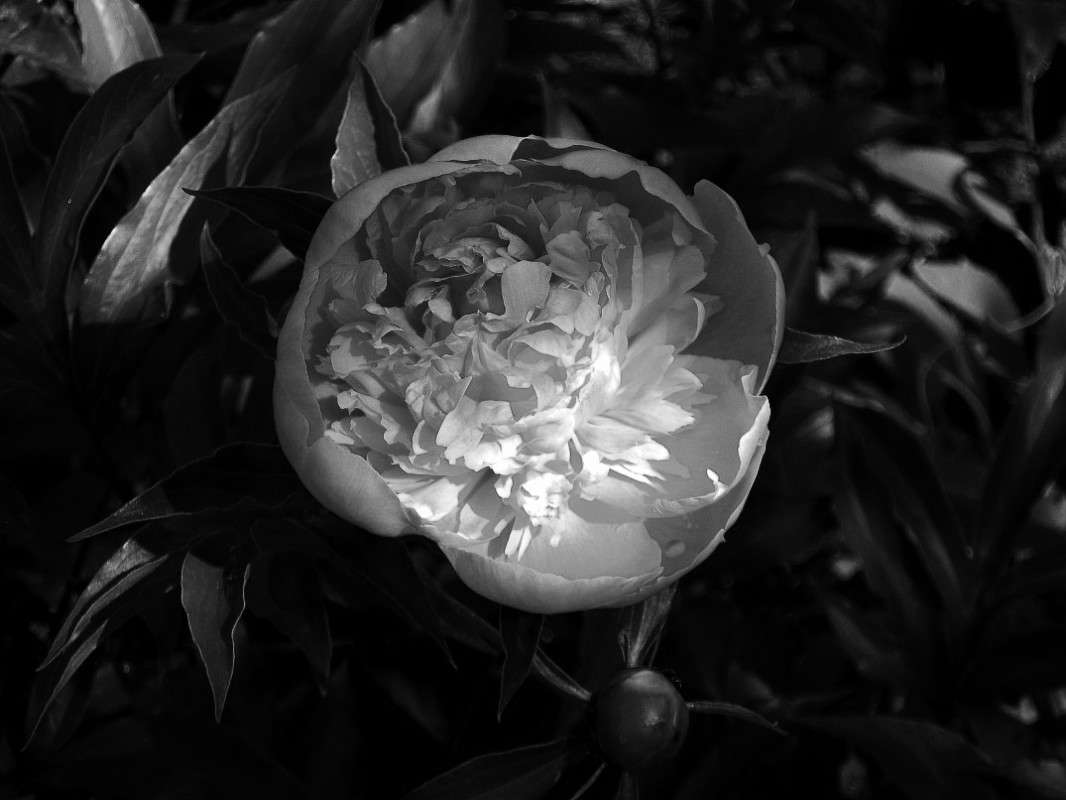 ... ����� Natali  ��������� �� PhotoGeek.ru #����� ��������������