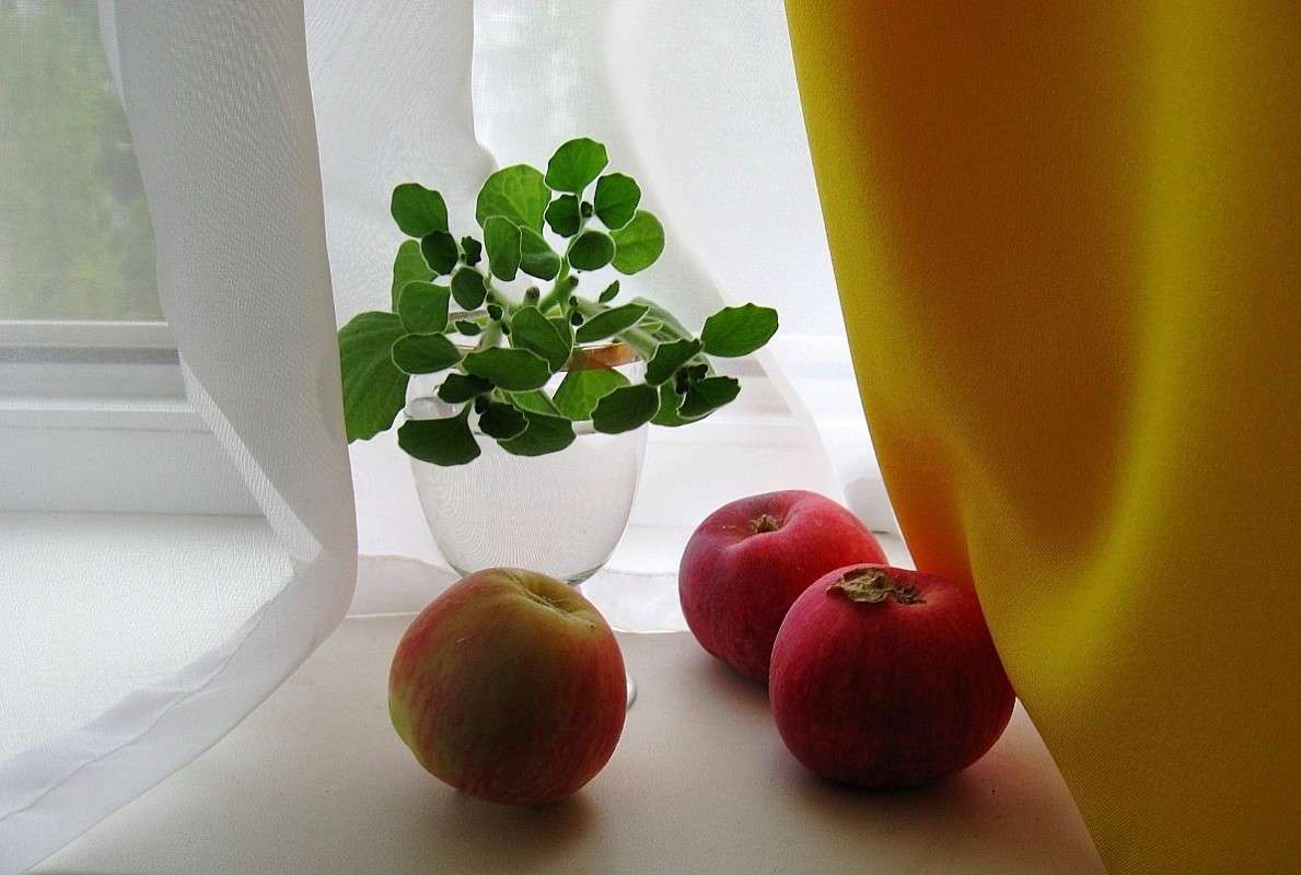 ���� �� ����� ...) ����� Natali  ��������� �� PhotoGeek.ru #�������� ����������