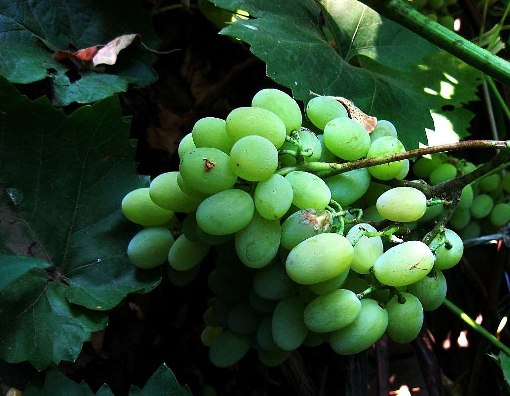 ... ����� Natali  ��������� �� PhotoGeek.ru #������ ��� ������� #����� ��������������