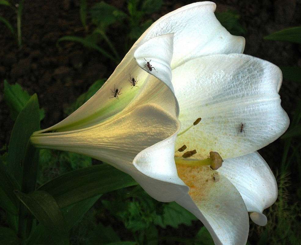 ... ����� Natali  ��������� �� PhotoGeek.ru #������ ��� ������� #����� �������������� #���������