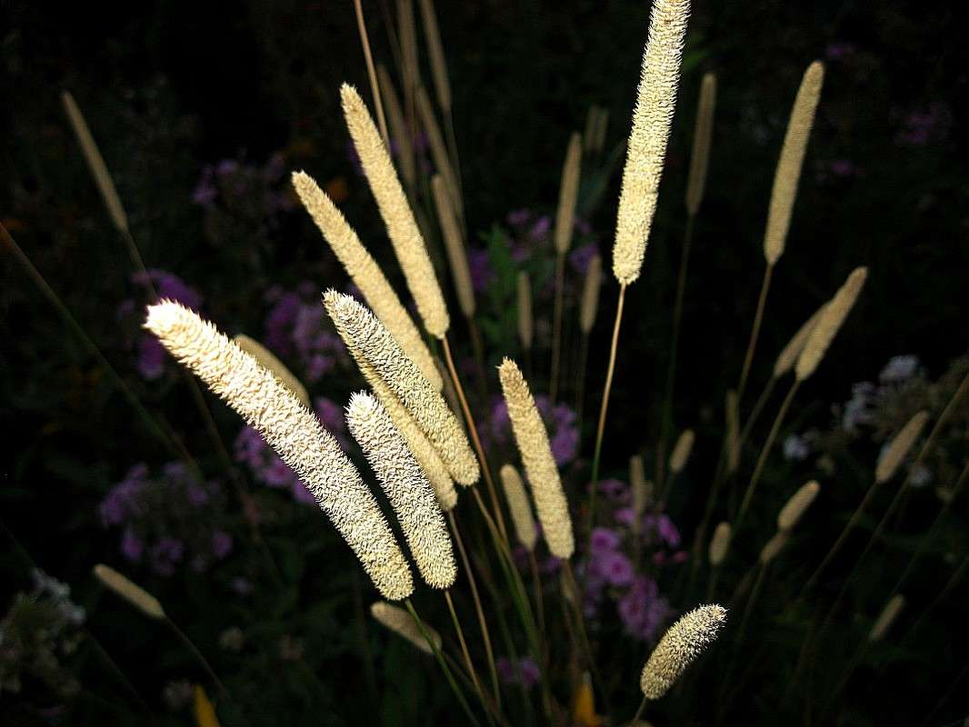 ���� � 5.54 ����� Natali  ��������� �� PhotoGeek.ru #������ ��� ������� #����� ��������������