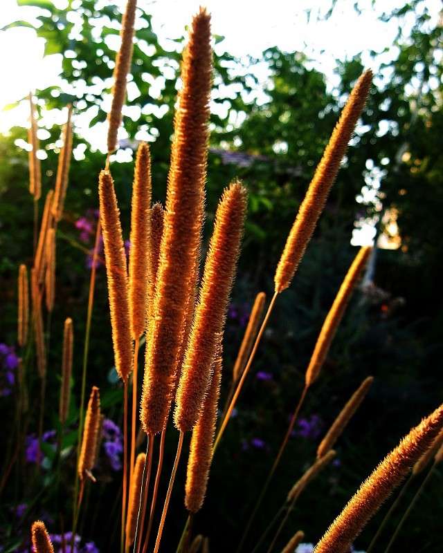 ���� � 6.42 ����� Natali  ��������� �� PhotoGeek.ru #������ ��� ������� #����� ��������������