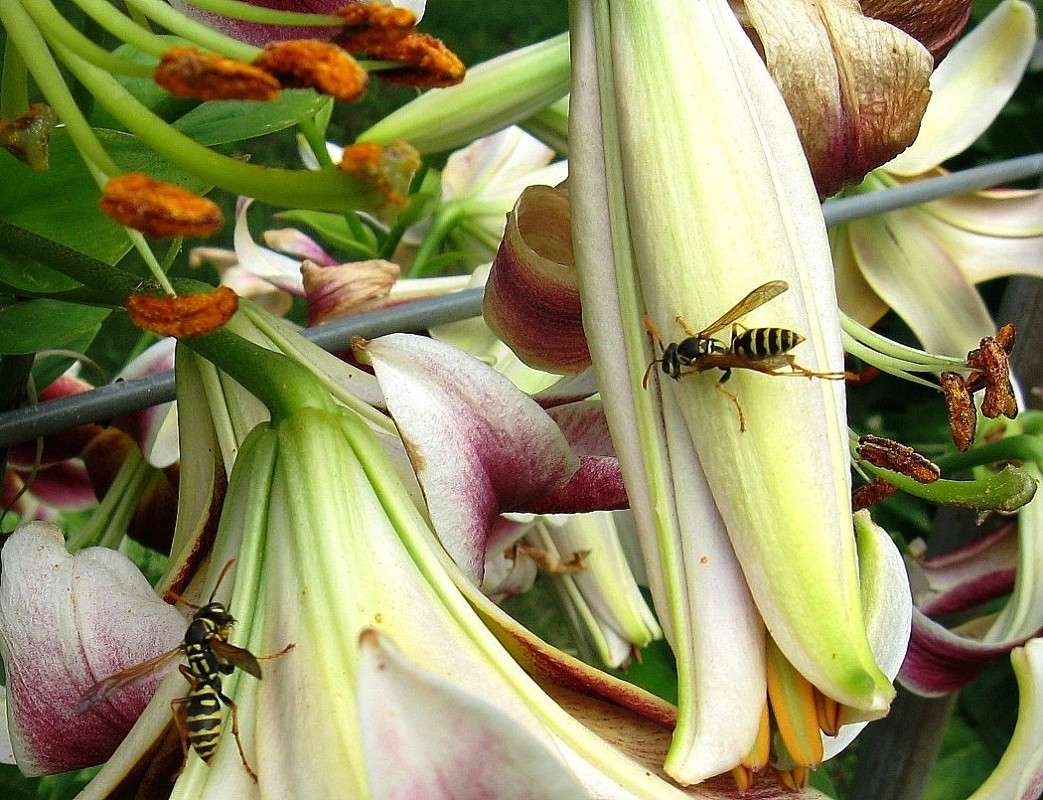 ������� �� ������ ����� Natali  ��������� �� PhotoGeek.ru #������ ��� ������� #����� �������������� #���������