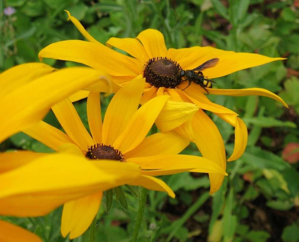 ... ����� Natali  ��������� �� PhotoGeek.ru #������ ��� ������� #����� �������������� #���������