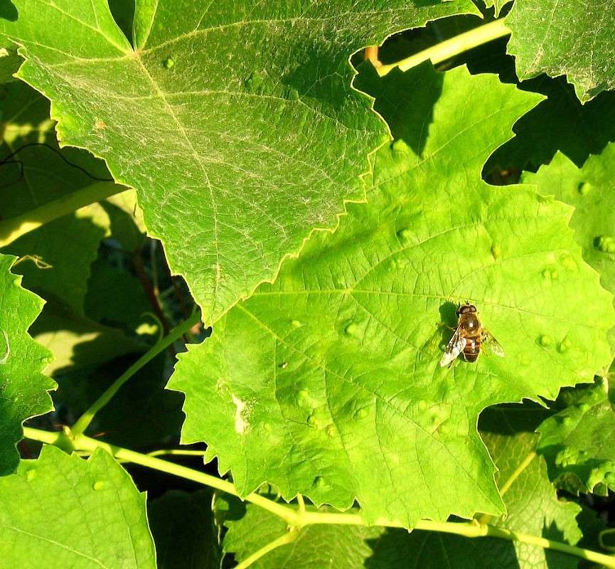 ������ � �������� �����... ����� Natali  ��������� �� PhotoGeek.ru #������ ��� ������� #����� �������������� #���������