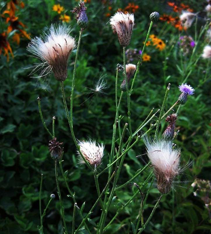 � �������� ����� Natali  ��������� �� PhotoGeek.ru #������ ��� ������� #����� ��������������