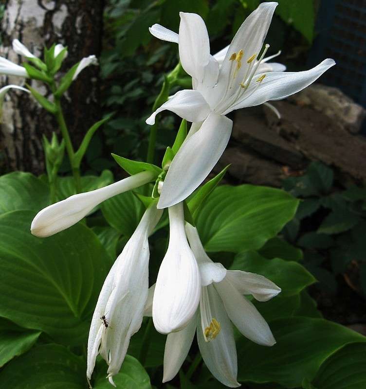 ����� ����� Natali  ��������� �� PhotoGeek.ru #������ ��� ������� #����� ��������������