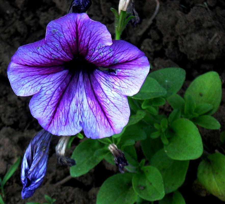 ... ����� Natali  ��������� �� PhotoGeek.ru #������ ��� ������� #����� ��������������