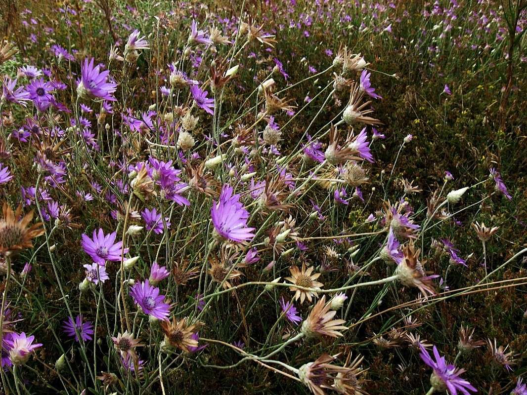 ������� ����� Natali  ��������� �� PhotoGeek.ru #������ ��� ������� #����� ��������������