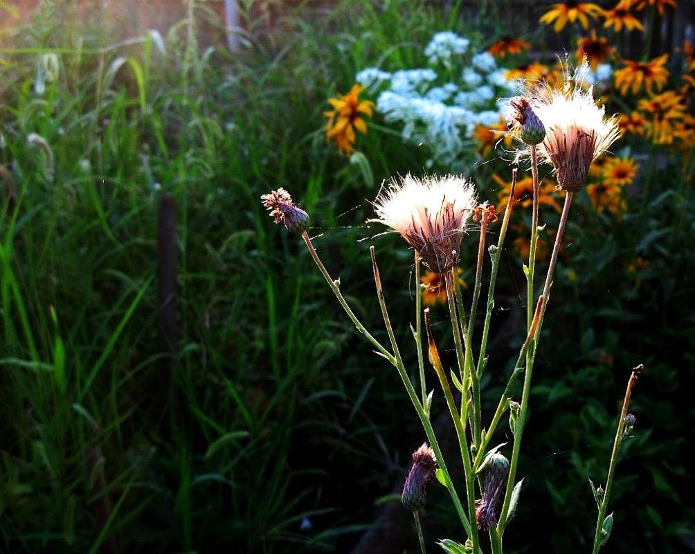 � �������� ����� ����� Natali  ��������� �� PhotoGeek.ru #������ ��� ������� #����� ��������������