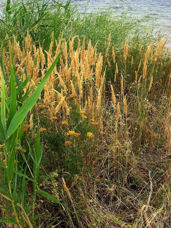 � ����... ����� Natali  ��������� �� PhotoGeek.ru #������ ��� ������� #����� ��������������