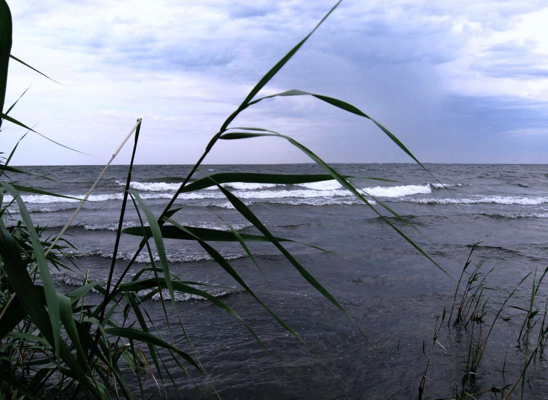 ... ����� Natali  ��������� �� PhotoGeek.ru #������ ��� ������� #����� ��������������