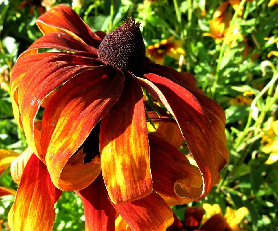 ... ����� Natali  ��������� �� PhotoGeek.ru #������ ��� ������� #����� ��������������