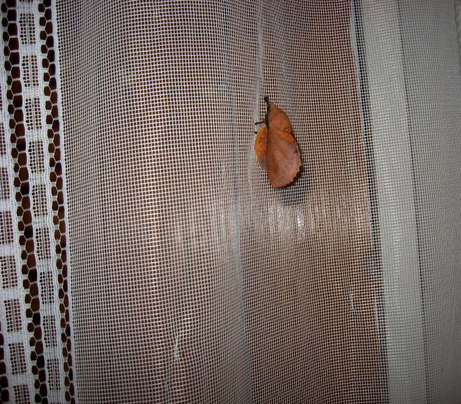 ������ ������� ����� Natali  ��������� �� PhotoGeek.ru #�������� ��� #�������� ���������� #���������������