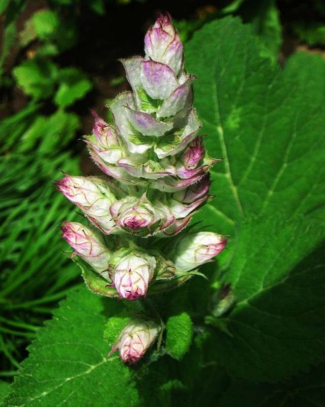 ... ����� Natali  ��������� �� PhotoGeek.ru #������ ��� ������� #����� ��������������