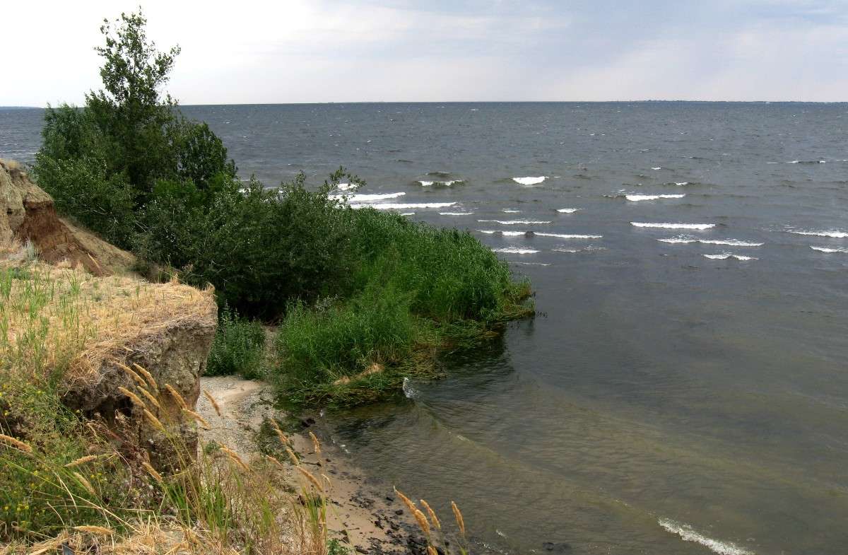 ����� � ���� ���...) ����� Natali  ��������� �� PhotoGeek.ru #������ ��� �������