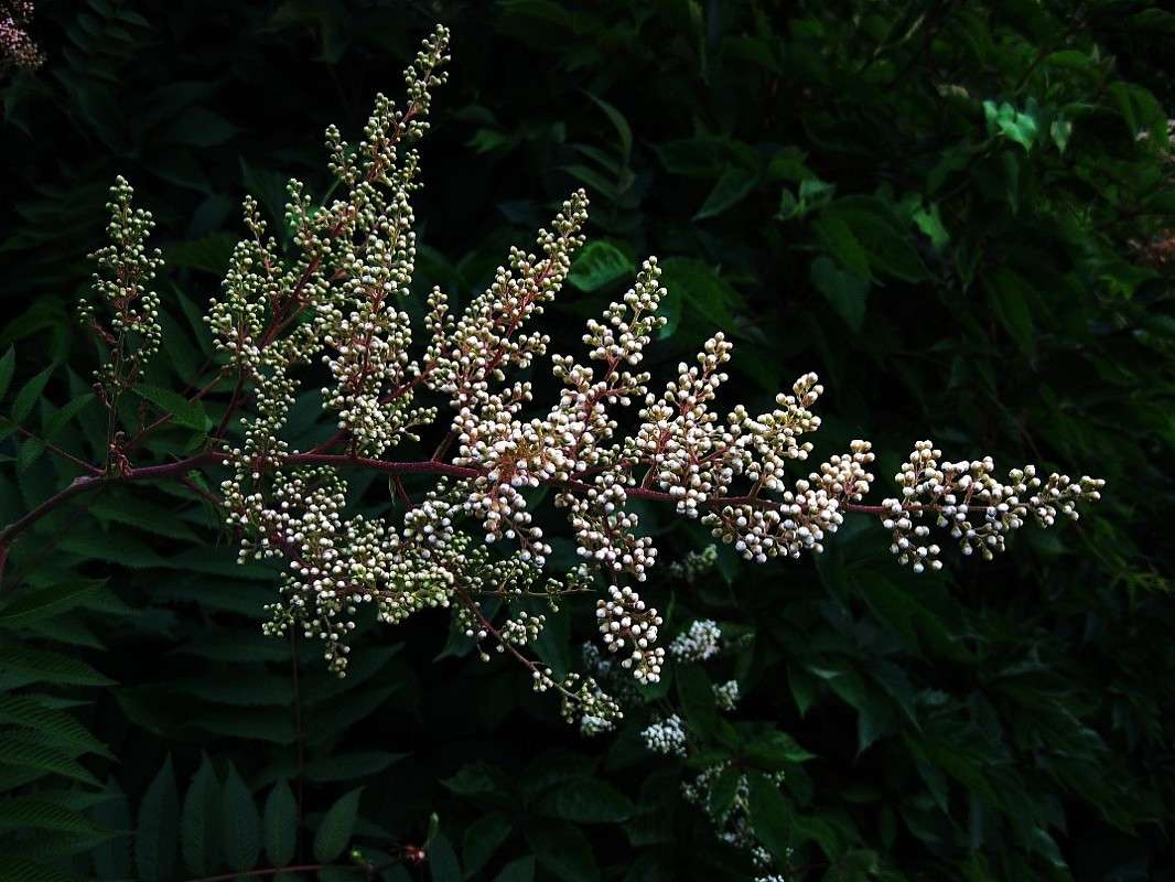 ... ����� Natali  ��������� �� PhotoGeek.ru #������ ��� ������� #����� ��������������