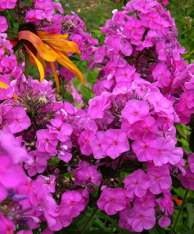 ... ����� Natali  ��������� �� PhotoGeek.ru #������ ��� ������� #����� ��������������