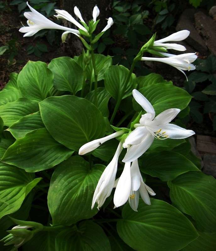 ... ����� Natali  ��������� �� PhotoGeek.ru #������ ��� ������� #����� ��������������