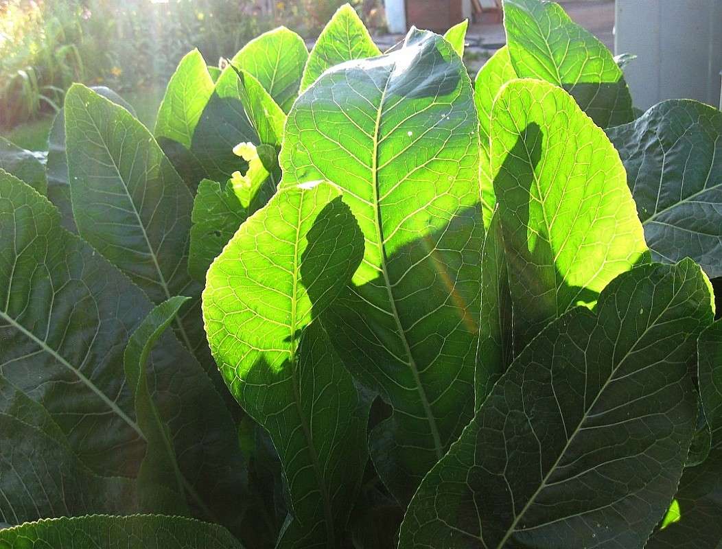 ��� �� �������� ����� ...? ...) ����� Natali  ��������� �� PhotoGeek.ru #������ ��� ������� #����� ��������������